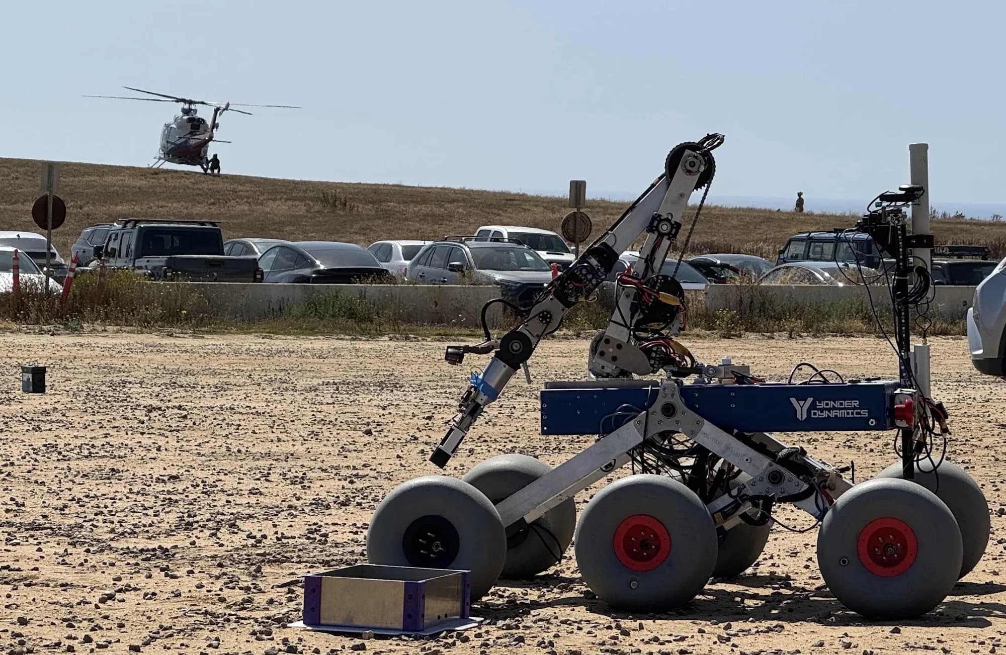 Rover in the field